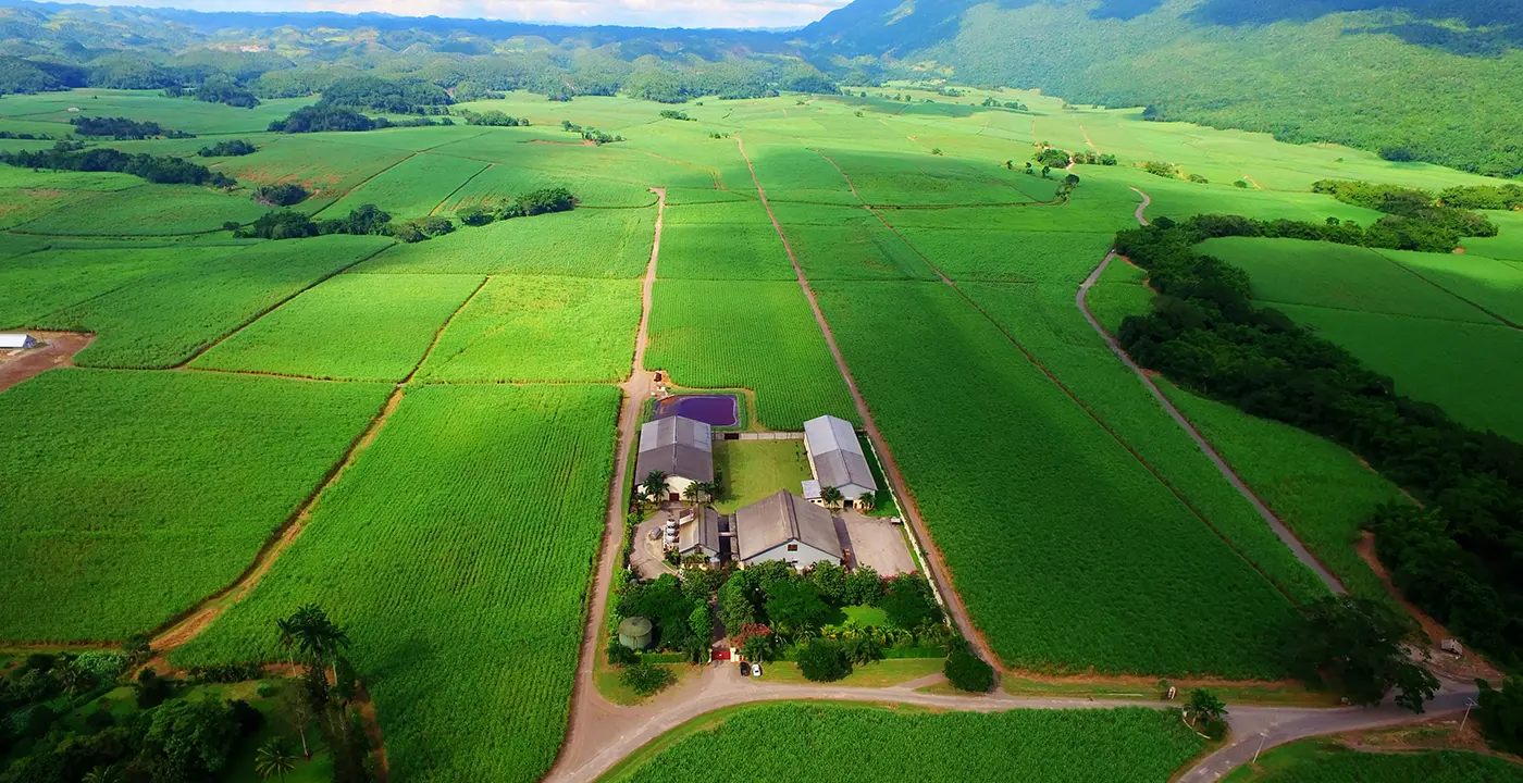 Worthy Park Distillery Valley of Lluidas aerial view
