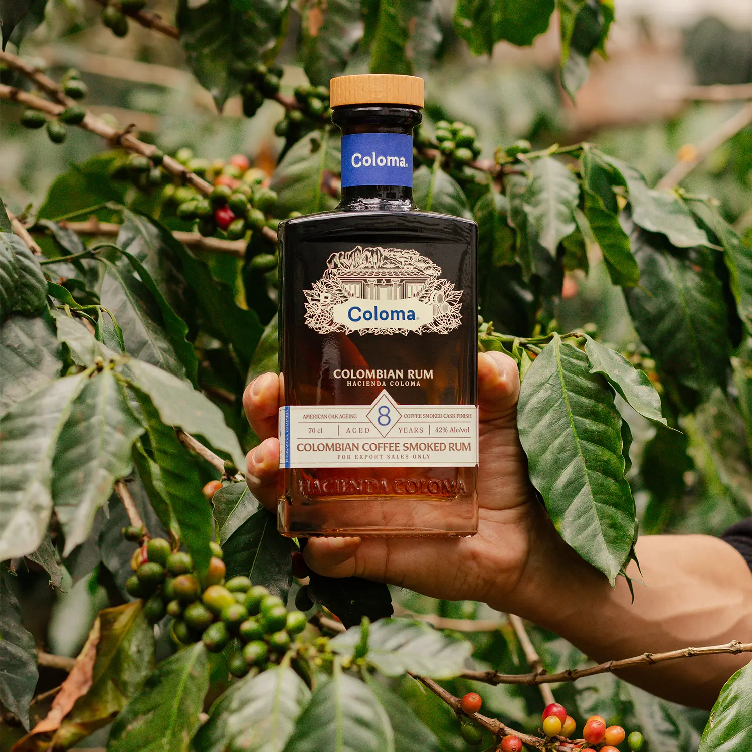 rum coloma columbia 8 years old coffee smoked 3